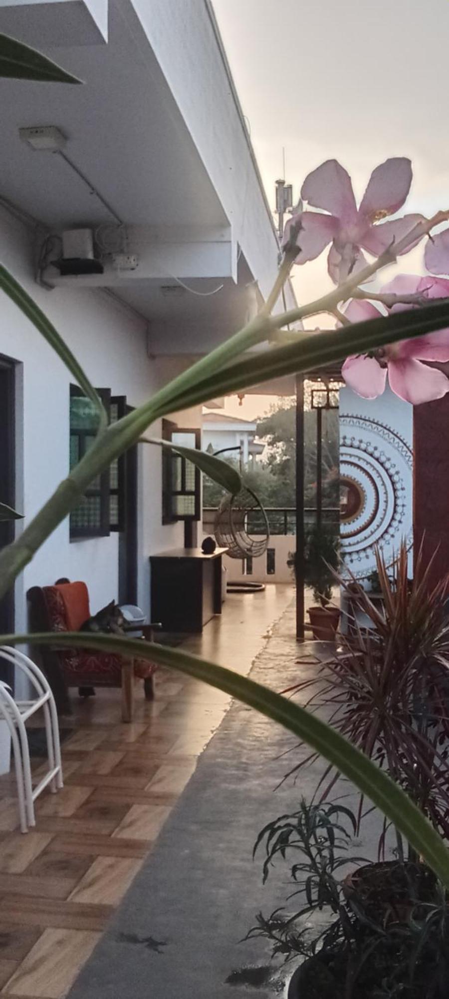Arasu Homestay Antharasanthe Kültér fotó